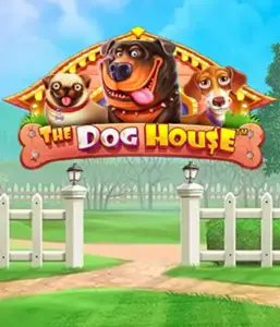 From Pragmatic Play comes The Dog House adventure, offering a fun-filled journey among charming canines. Engage in features such as sticky wilds, aimed at delivering joyful moments. Ideal for animal enthusiasts a lighthearted setting alongside lucrative rewards.