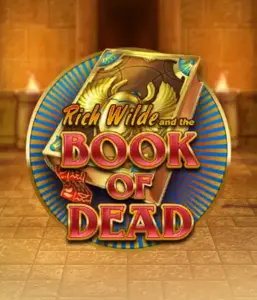 Embark on the thrilling world of Book of Dead by Play'n GO, featuring vivid graphics of Rich Wilde's journey through ancient Egyptian tombs and artifacts. Discover lost riches with engaging mechanics like free spins, expanding symbols, and a gamble option. Ideal for those seeking adventure with a desire for thrilling discoveries.